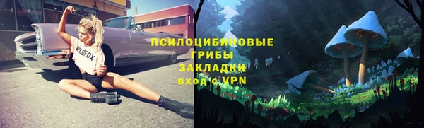 Альфа ПВП Михайлов
