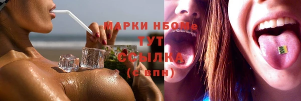 индика Надым