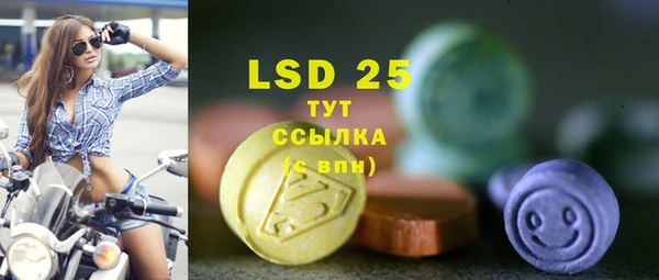индика Надым