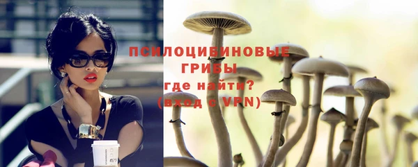 индика Надым