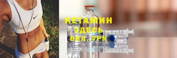 индика Надым