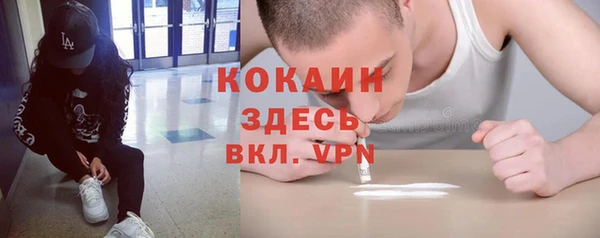 индика Надым